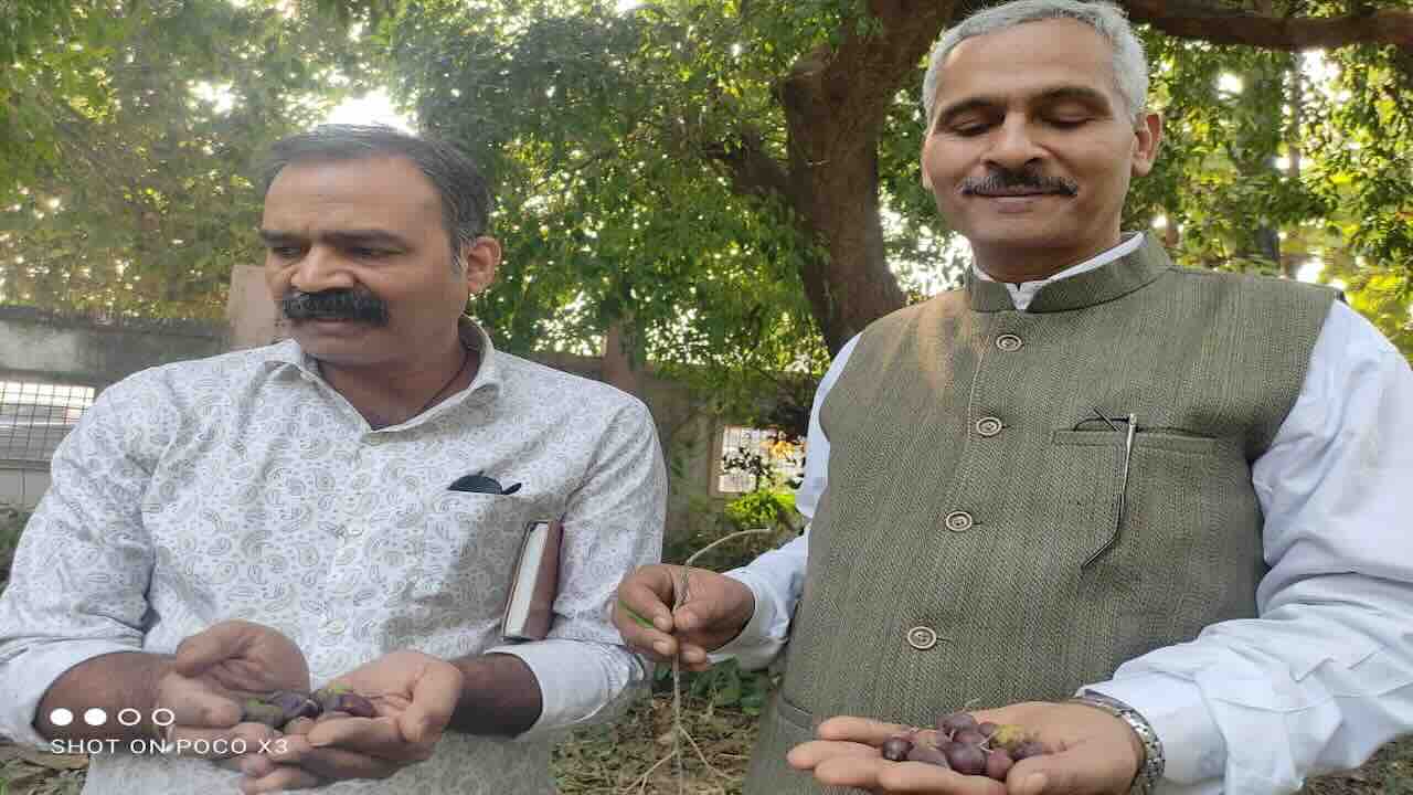 serious initiatives regarding the conservation and promotion of Paniyala fruit